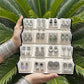 Jhumka + Box  pack of 16