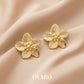 Cindrella Sparkle Earrings Gift Box